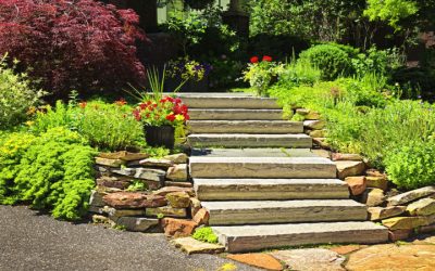 Achieve Effortless Curb Appeal and Lasting Beauty with Expert Landscape Edging in Marshall, WI